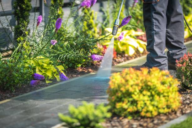 Best Dumpster Area Cleaning  in Princeton, MN